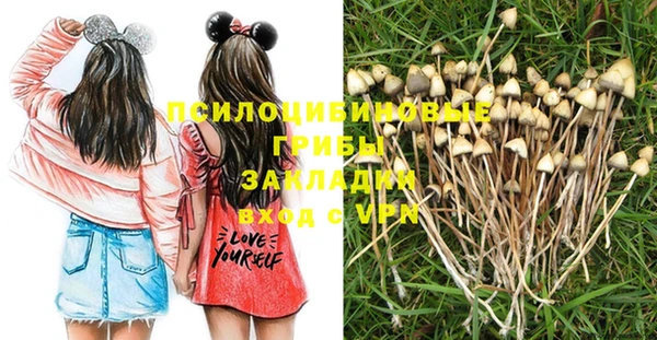 кокс Алексин