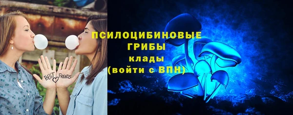 кокс Алексин